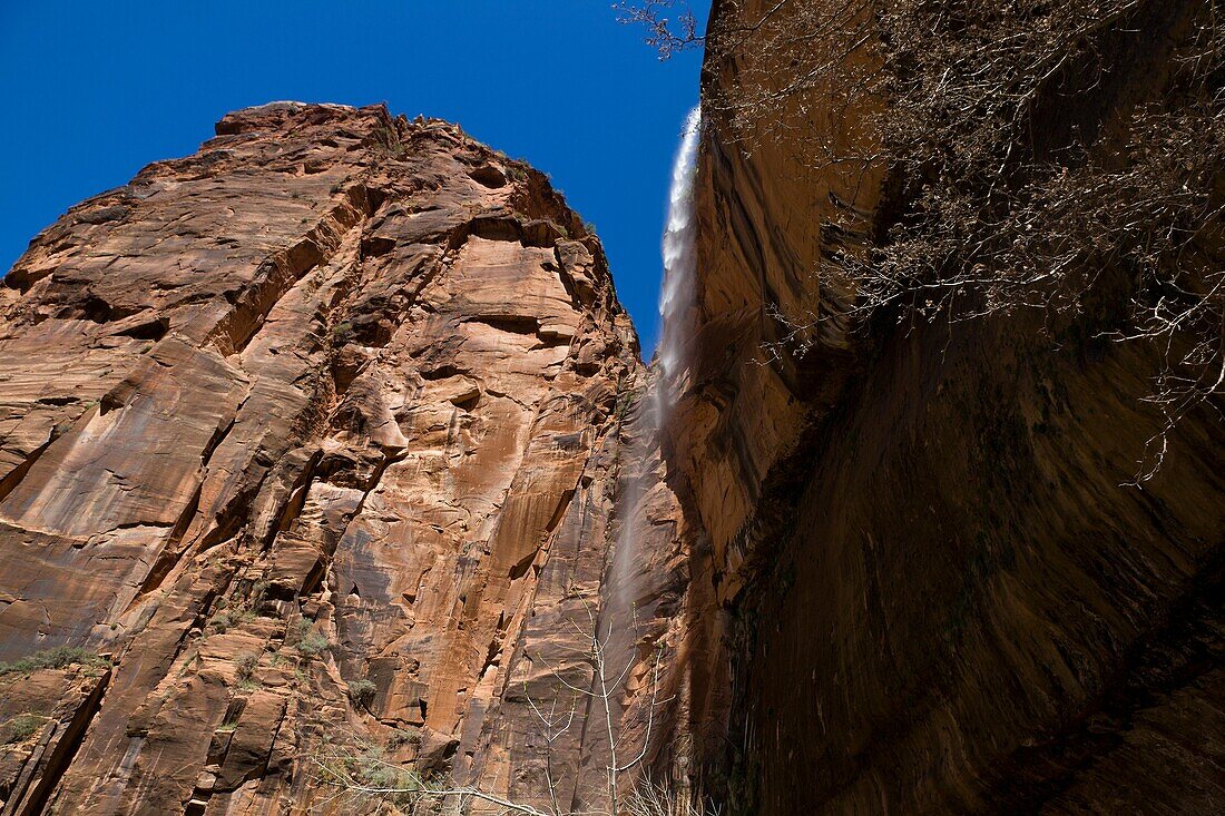 Zion NP  Utah  USA