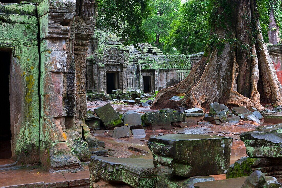 Ta Prohm is the modern name of a temple at Angkor, Siem Reap Province, Cambodia, built in the Bayon style largely in the late 12th and early 13th centuries and originally called Rajavihara  Located approximately one kilometre east of Angkor Thom and on th