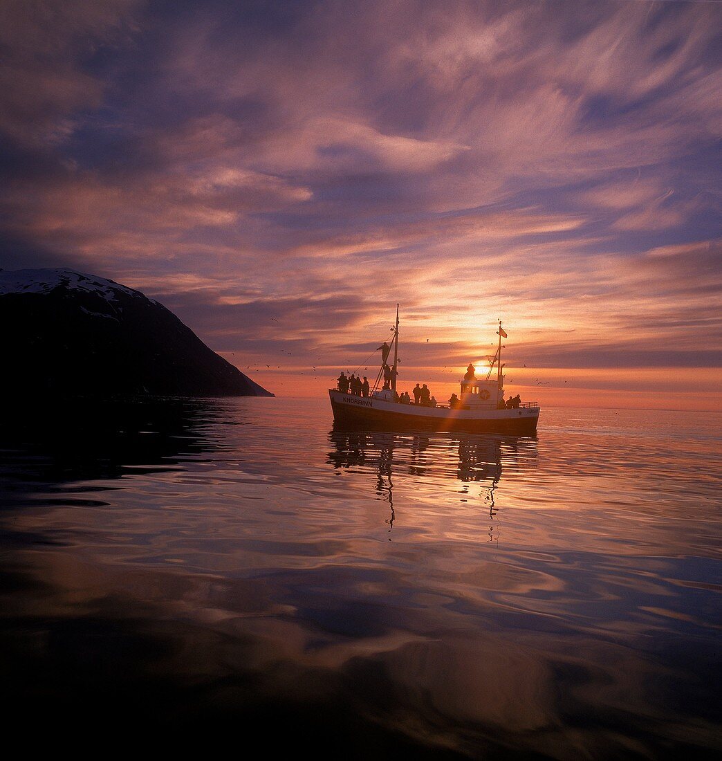 Tourists on Whale Watching Boat at Sunset, Husavik, Iceland