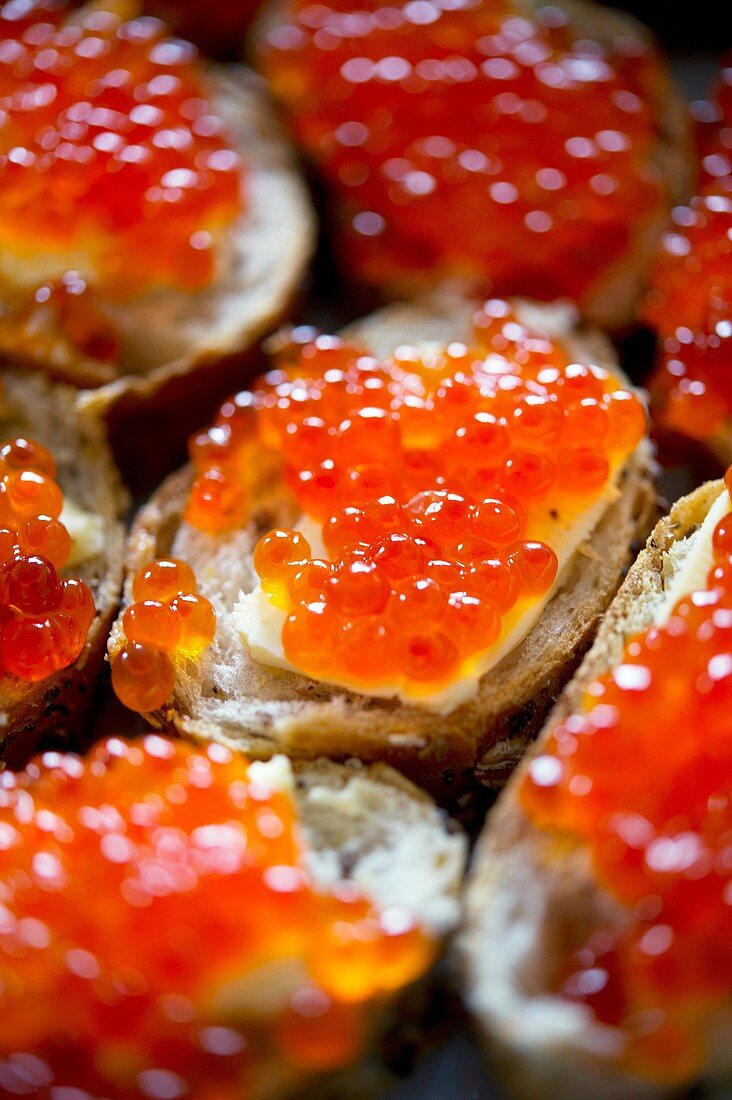 Red caviar sandwich