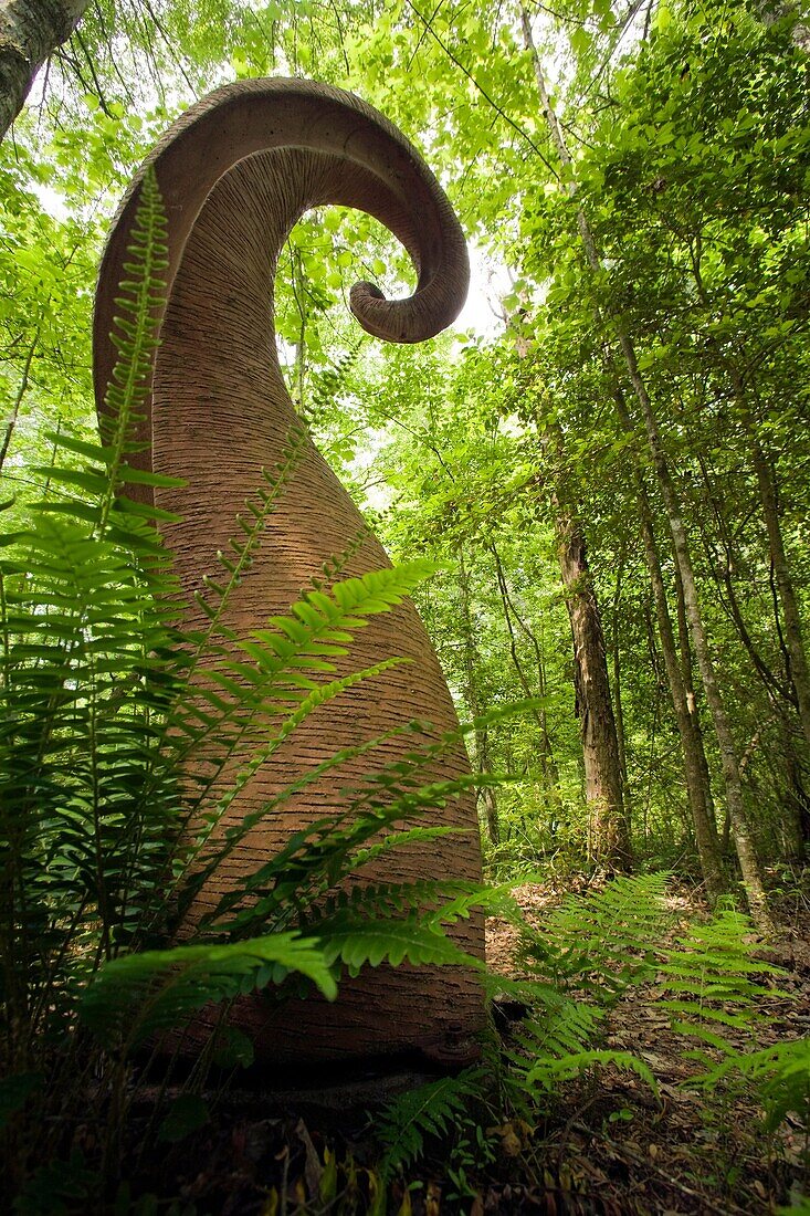 Public Art Sculpture - Fiddleheads - by Harry McDaniel - Kellogg Center - Hendersonville, North Carolina, USA