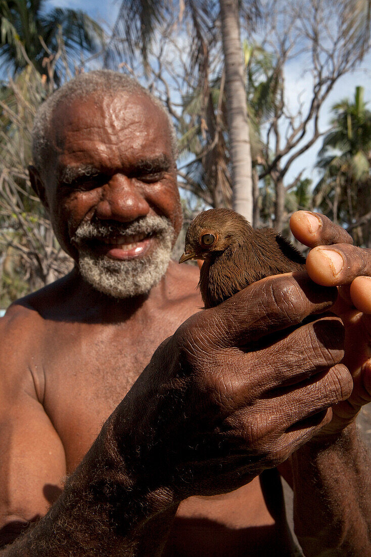 Eliab Wutab holding a young megapode bird. He releases it on Matupit island and hopes that it will find more food on the slopes of the volcano. Tavurvur Volcano, Rabaul, East New Britain, Papua New Guinea, Melanesia, Pacific