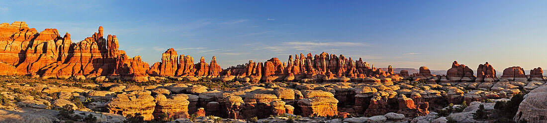 Panorama of rock spires in Chesler Park, Needles Area, Canyonlands National Park, Moab, Utah, Southwest, USA, America