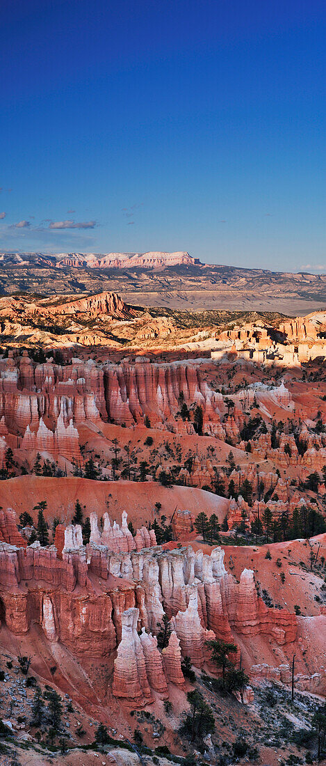 Panorama of rock spires in Bryce Canyon, Bryce Canyon National Park, Utah, Southwest, USA, America