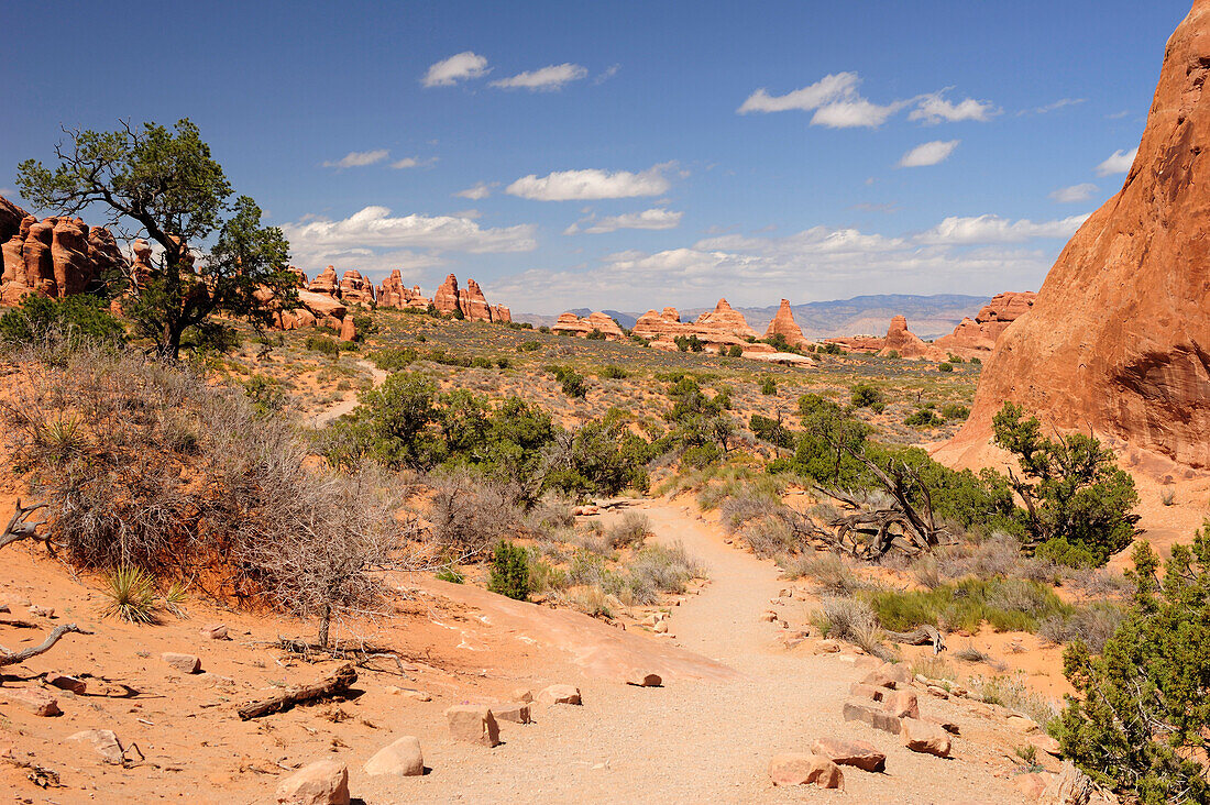 Trail to Landscape Arch, Arches National Park, Moab, Utah, Southwest, USA, America