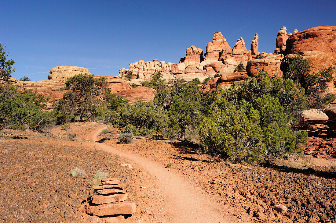 Trail leading towards rock spires in Chesler Park, Needles Area, Canyonlands National Park, Moab, Utah, Southwest, USA, America