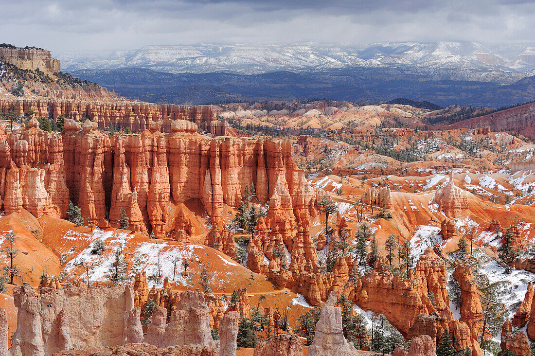 Felstürme im Bryce Canyon, Bryce Canyon Nationalpark, Utah, Südwesten, USA, Amerika