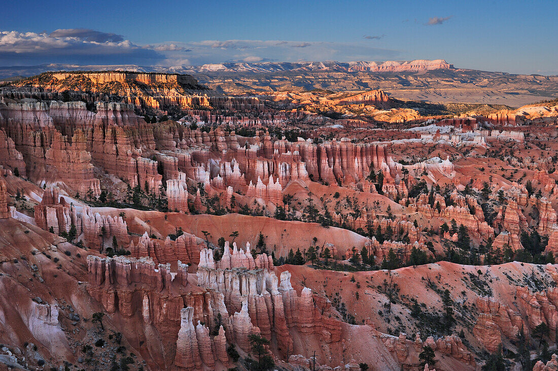 Felstürme im Bryce Canyon, Bryce Canyon Nationalpark, Utah, Südwesten, USA, Amerika