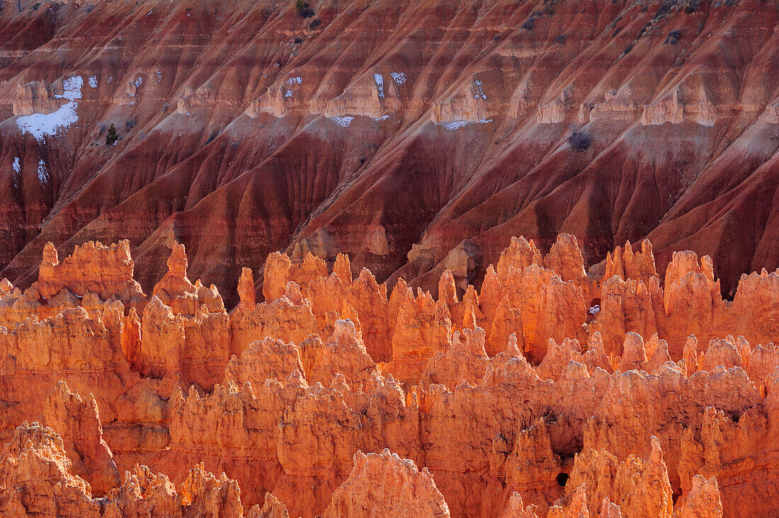 Felstürme im Bryce Canyon, Bryce Canyon Nationalpark, Utah, Südwesten, USA, Amerika