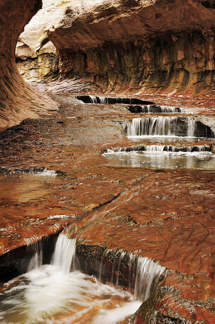 Wasser läuft über Felsterrassen, Subway, North Creek, Zion Nationalpark, Utah, Südwesten, USA, Amerika