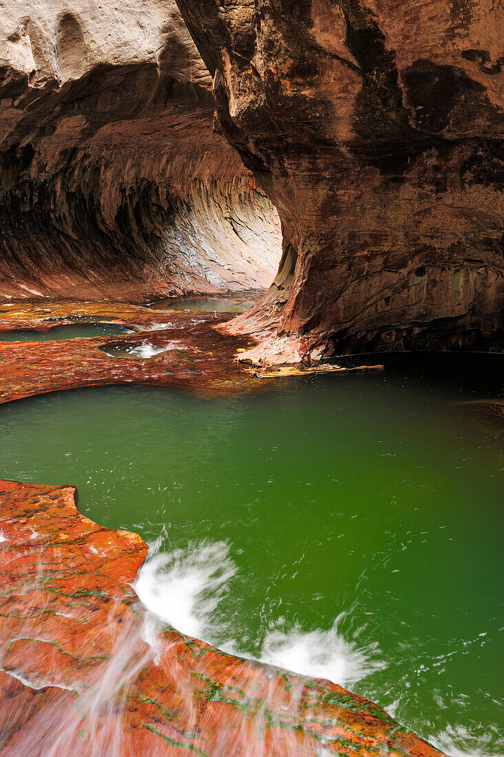 Subway with natural pool, Subway, North Creek, Zion National Park, Utah, Southwest, USA, America