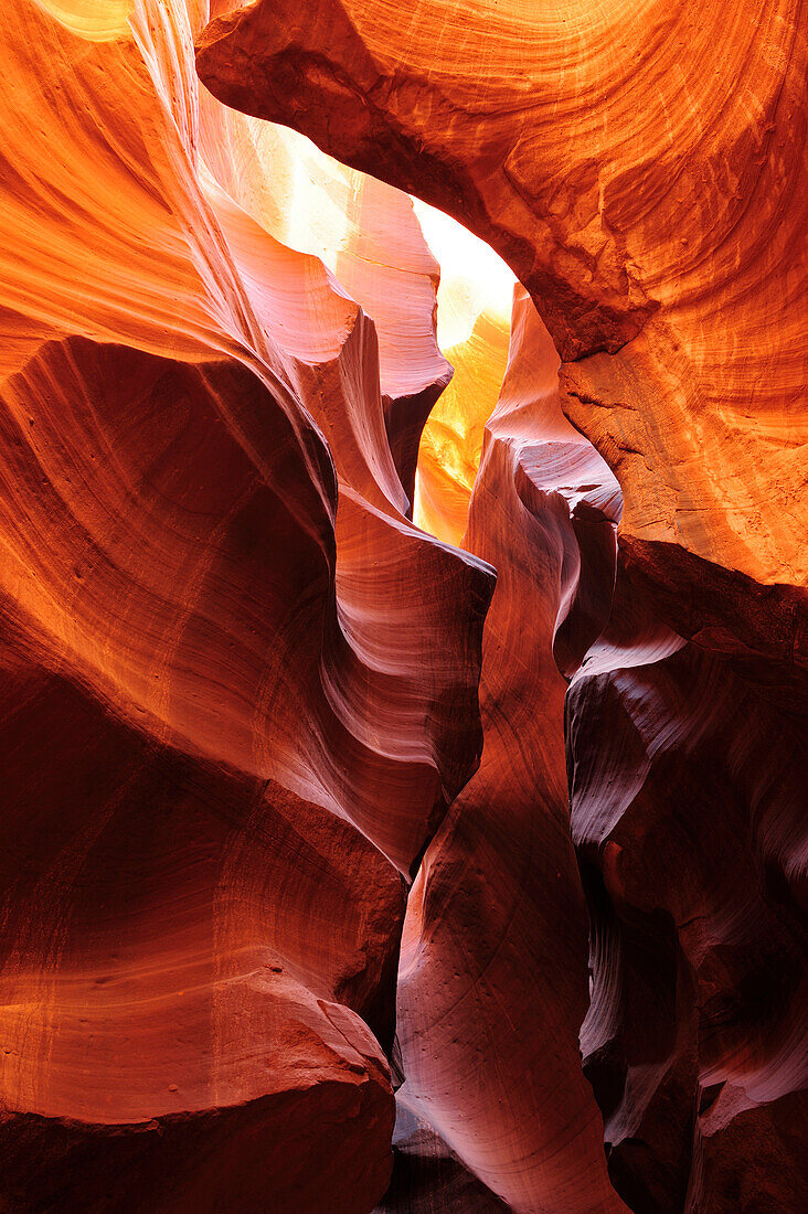 Sun illuminating colourful sandstone slot canyon, Upper Antelope Canyon, Antelope Canyon, Page, Arizona, Southwest, USA, America