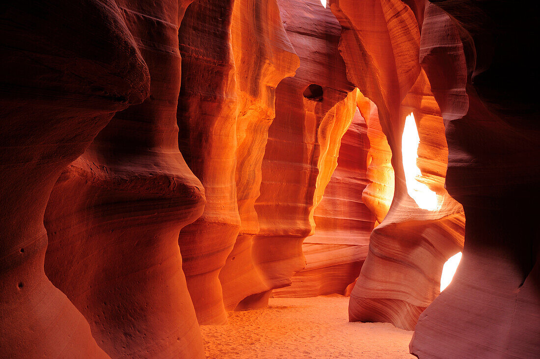 Sun illuminating colourful sandstone slot canyon, Upper Antelope Canyon, Antelope Canyon, Page, Arizona, Southwest, USA, America