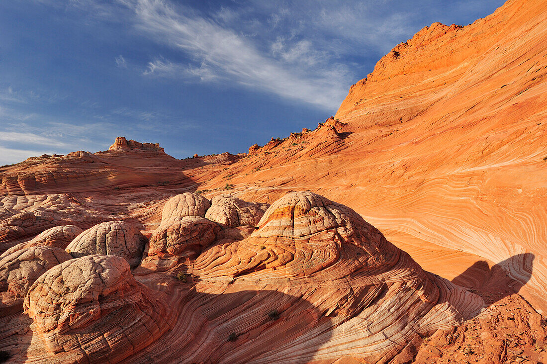 Roter Sandstein und Felsengehirn, Coyote Buttes, Paria Canyon, Vermilion Cliffs National Monument, Arizona, Südwesten, USA, Amerika