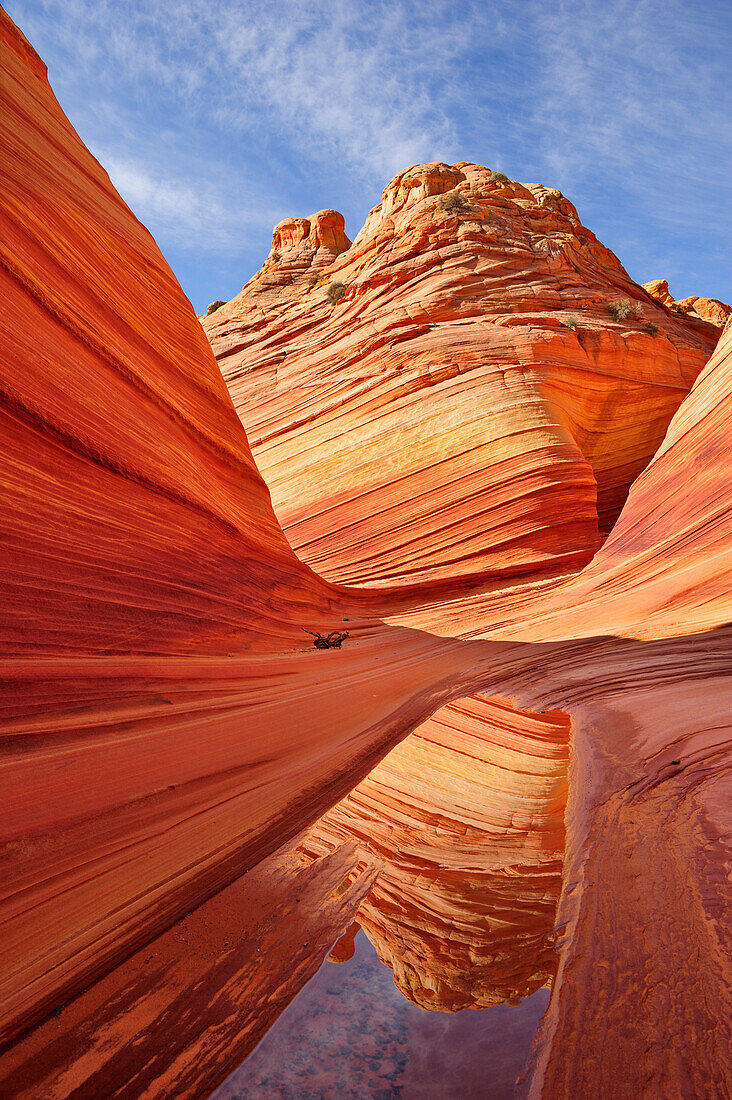 Red sandstone reflecting in water, The Wave, Coyote Buttes, Paria Canyon, Vermilion Cliffs National Monument, Arizona, Southwest, USA, America