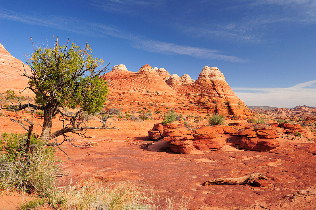 Rote Sandsteinkegel, Coyote Buttes, Paria Canyon, Vermilion Cliffs National Monument, Arizona, Südwesten, USA, Amerika