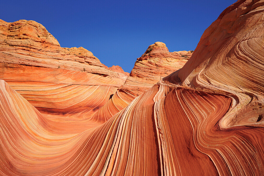 Rote Sandsteinformation unter blauem Himmel, The Wave, Coyote Buttes, Paria Canyon, Vermilion Cliffs National Monument, Arizona, Südwesten, USA, Amerika