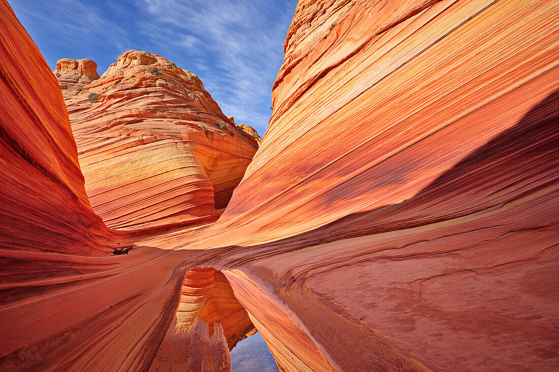 Rote Sandsteinformation spiegelt sich in Wasser, The Wave, Coyote Buttes, Paria Canyon, Vermilion Cliffs National Monument, Arizona, Südwesten, USA, Amerika