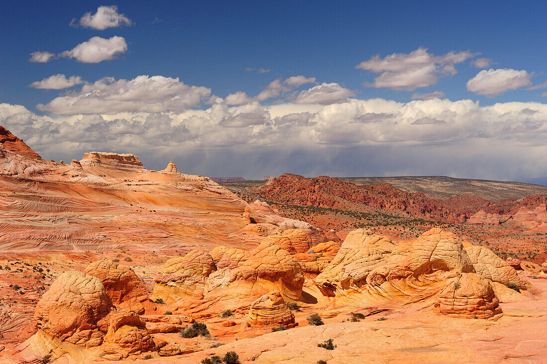 Colourful sandstone cones and brain rock, Coyote Buttes, Paria Canyon, Vermilion Cliffs National Monument, Arizona, Southwest, USA, America