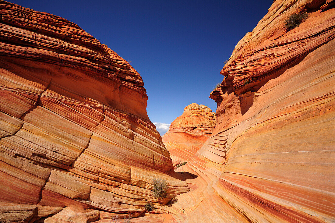 Red sandstone formation, Coyote Buttes, Paria Canyon, Vermilion Cliffs National Monument, Arizona, Southwest, USA, America