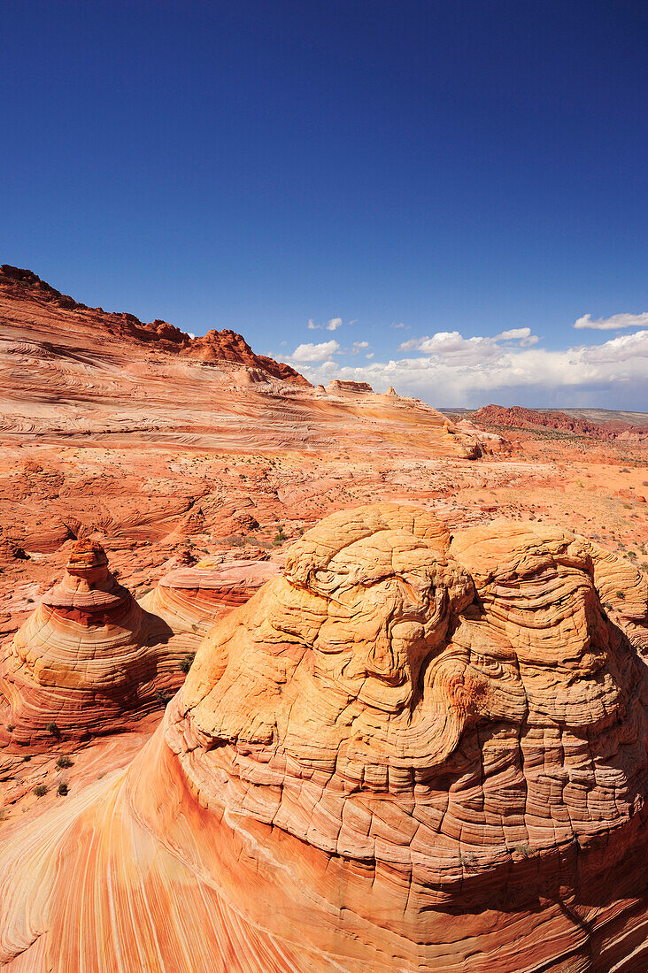 Bunte Sandsteinkegel und Felsengehirn, Coyote Buttes, Paria Canyon, Vermilion Cliffs National Monument, Arizona, Südwesten, USA, Amerika