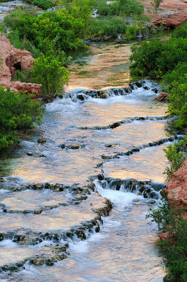Bach läuft über Sinterterrassen, Havasu, Supai, Grand Canyon, Grand Canyon Nationalpark, UNESCO Weltnaturerbe Grand Canyon, Arizona, Südwesten, USA, Amerika