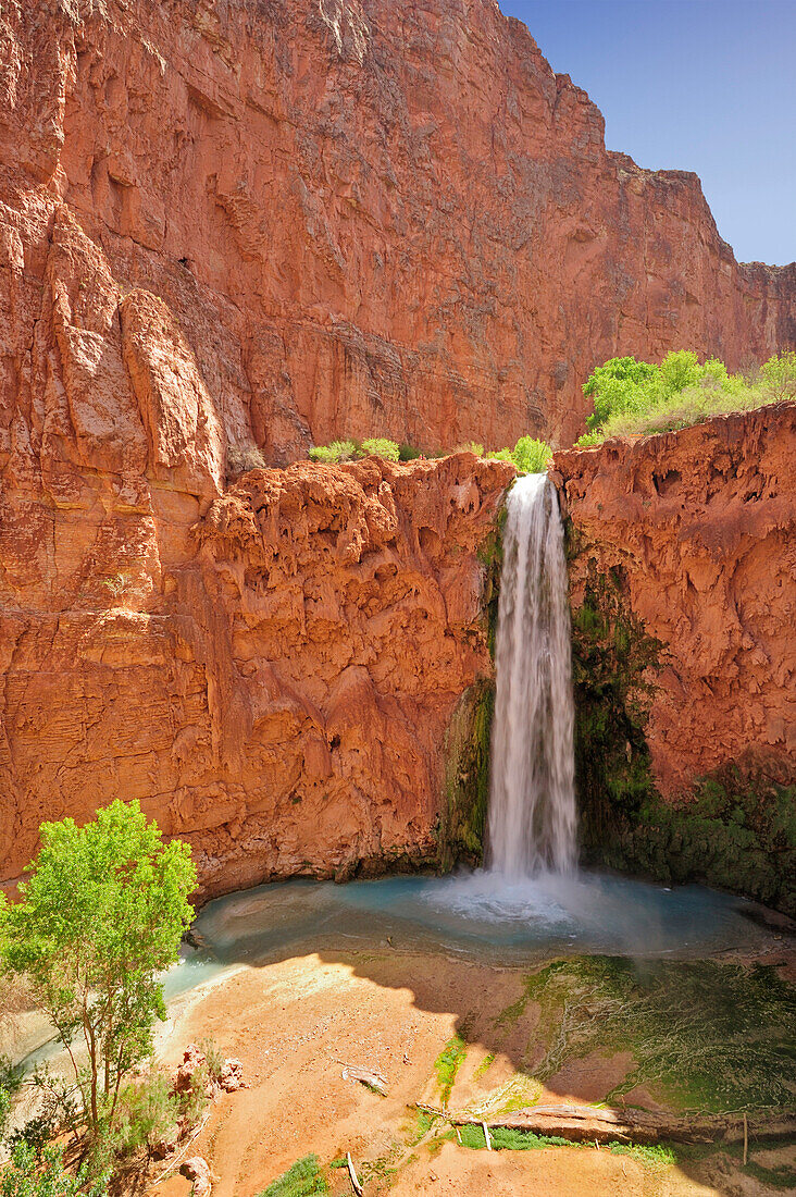 Waterfall Mooney Fall, Havasu, Supai, Grand Canyon, Grand Canyon National Park, UNESCO World Heritage Site Grand Canyon, Arizona, Southwest, USA, America