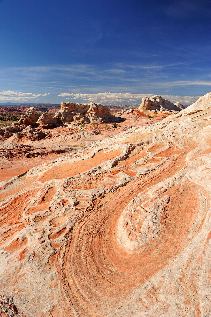 Colourful swirls in sandstone formation, Paria Canyon, Vermilion Cliffs National Monument, Arizona, Southwest, USA, America