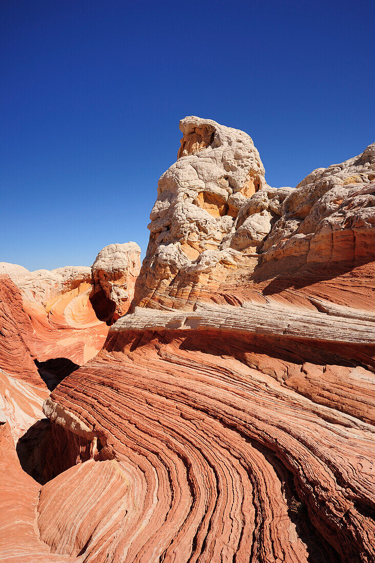 Bunte Sandsteinformation, Paria Canyon, Vermilion Cliffs National Monument, Arizona, Südwesten, USA, Amerika