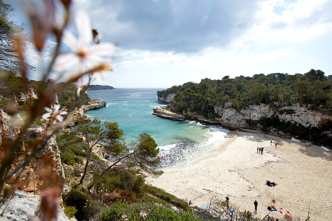 View over Cala de s Almunia, Santanyi, Majorca, Balearic Islands, Spain