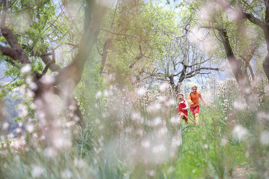 Zwei Mädchen laufen über Blumenwiese, Esporles, Mallorca, Balearen, Spanien