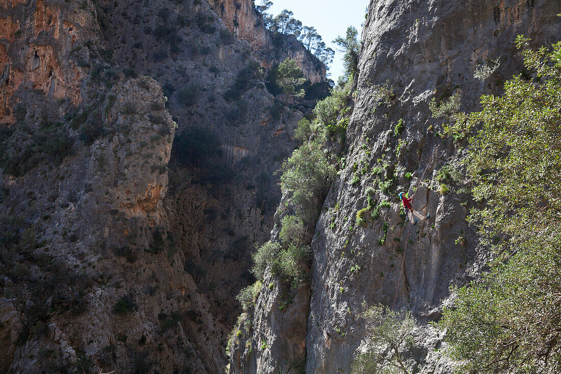 Ein Kletterer, Kletterfelsen im Klettergebiet Sa Gubia, Tramantura, bei Bunyola, Mallorca, Spanien
