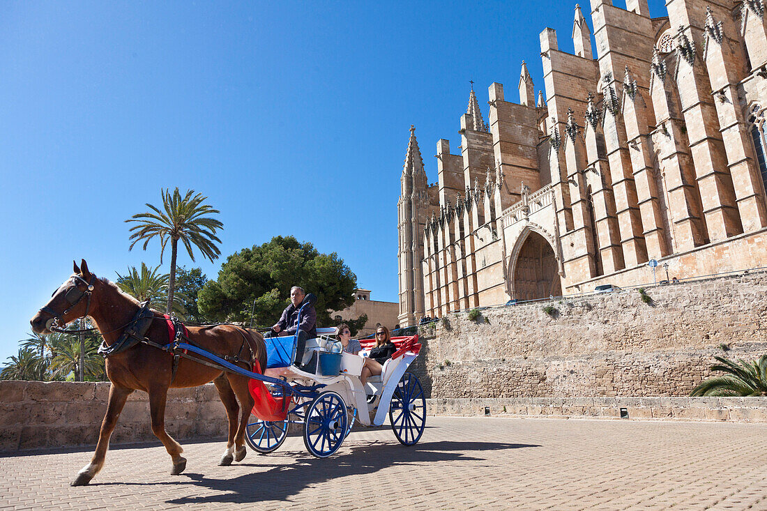 Pferdekutsche mit Touristen vor der Kathedrale Sa Seu, Palma de Mallorca, Mallorca, Spanien