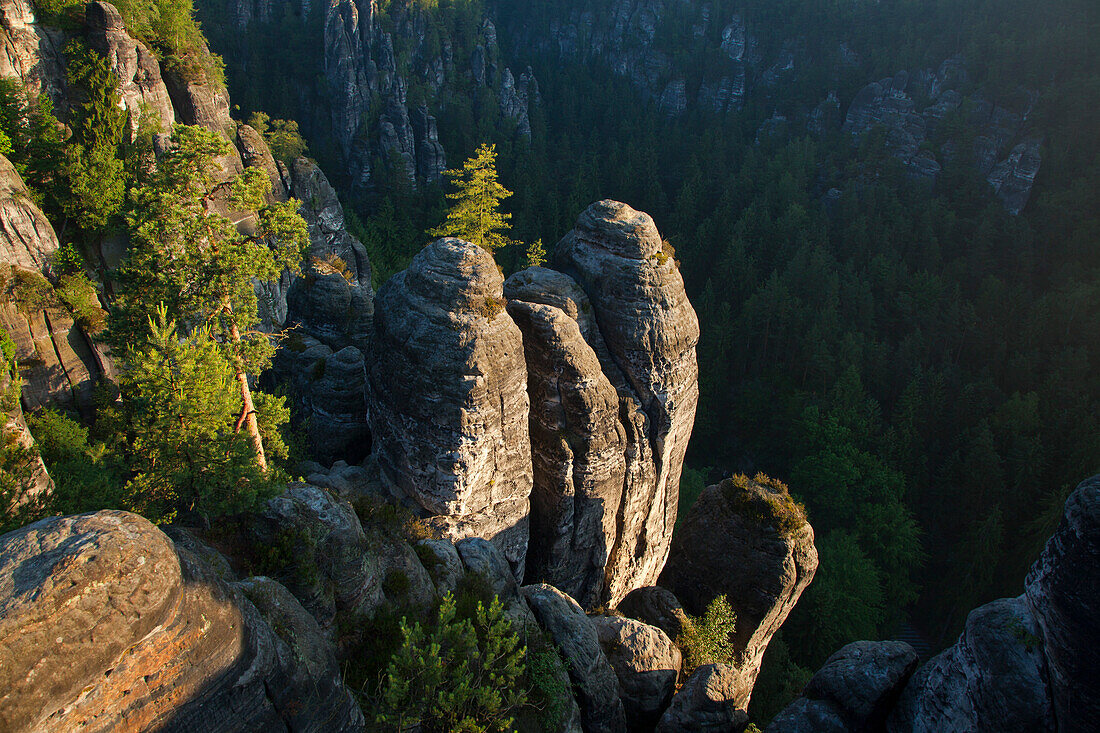 Felsformation im Wehlgrund, Bastei, Nationalpark Sächsische Schweiz, Elbsandsteingebirge, Sachsen, Deutschland, Europa