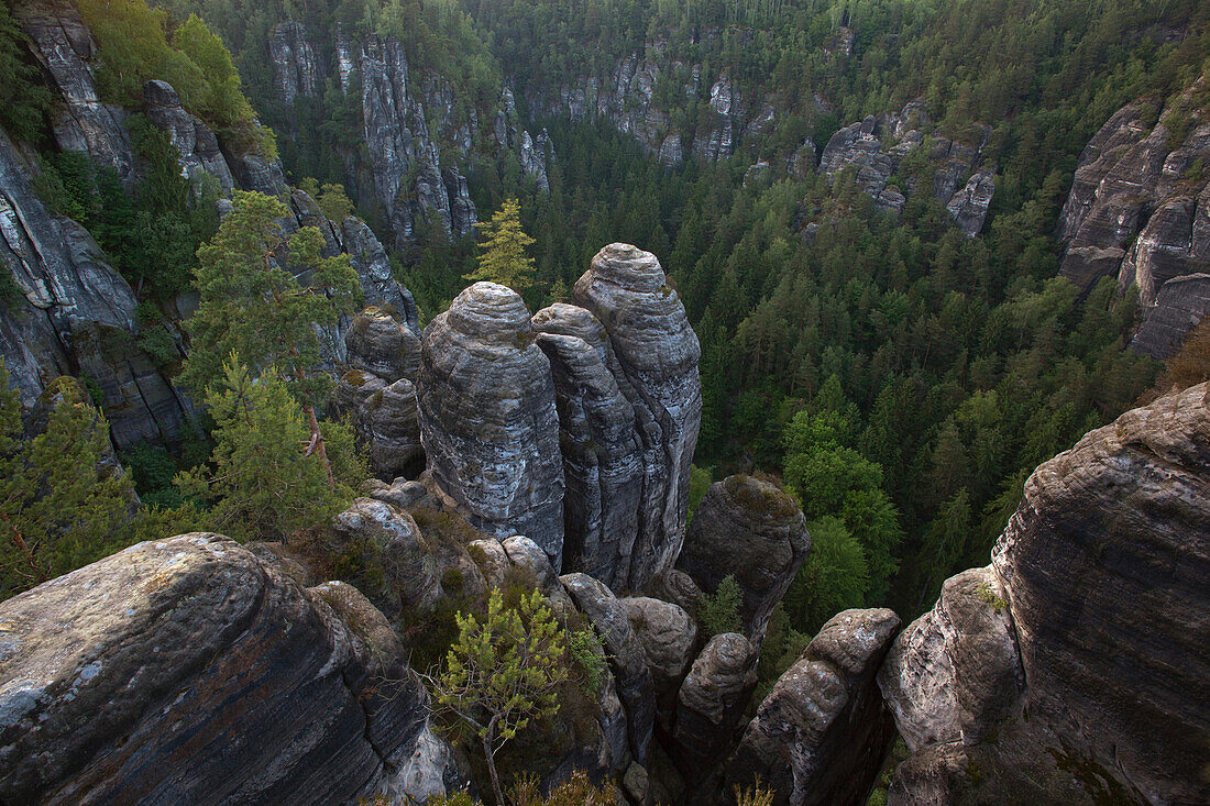 Felsformation im Wehlgrund, Bastei, Nationalpark Sächsische Schweiz, Elbsandsteingebirge, Sachsen, Deutschland, Europa