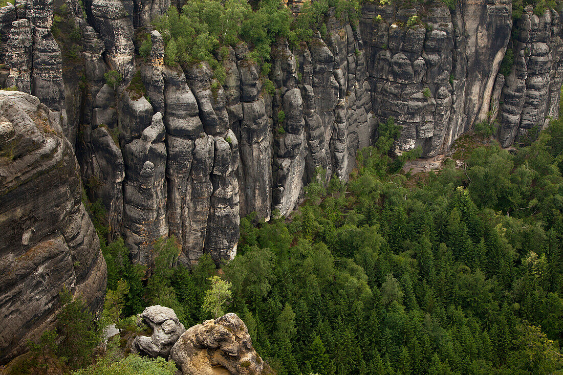 Die Felswand des Hohen Torsteins, Schrammsteine, Nationalpark Sächsische Schweiz, Elbsandsteingebirge, Sachsen, Deutschland, Europa