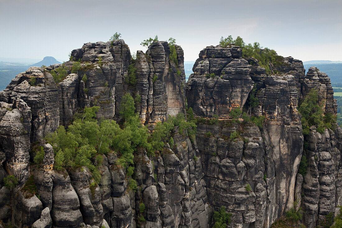 Die Felswand des Hohen Torsteins, Schrammsteine, Nationalpark Sächsische Schweiz, Elbsandsteingebirge, Sachsen, Deutschland, Europa