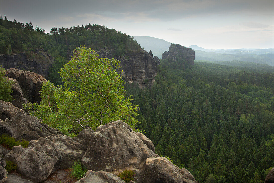 Breite Kluft valley at Schrammsteine Rocks, National Park Saxon Switzerland, Elbe Sandstone Mountains, Saxony, Germany, Europe