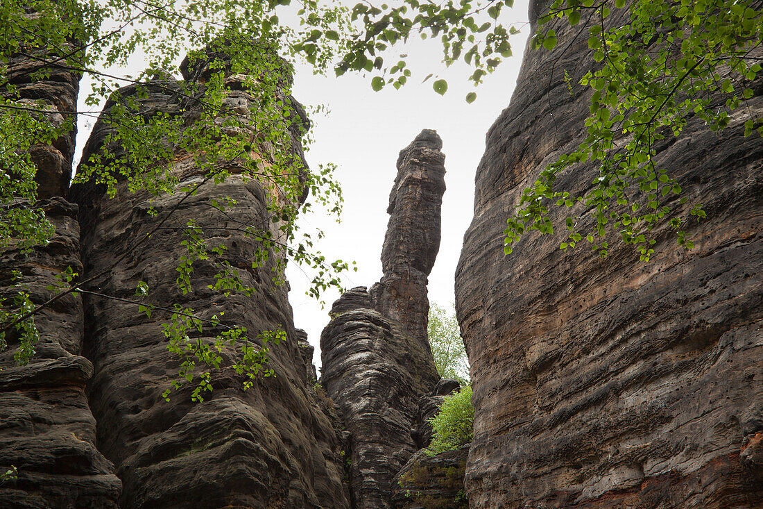 Große Herkulessäule im Bielatal, Nationalpark Sächsische Schweiz, Elbsandsteingebirge, Sachsen, Deutschland, Europa