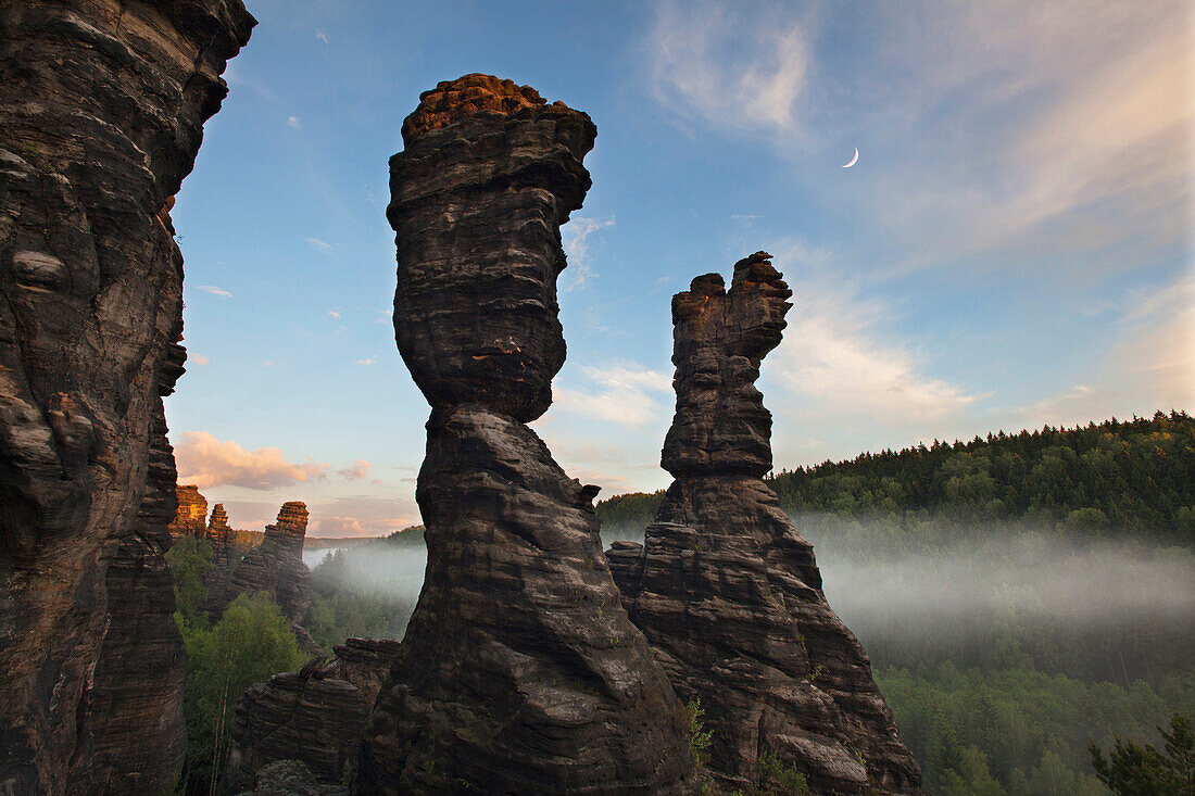 Hercules Towers at Bielatal valley, National Park Saxon Switzerland, Elbe Sandstone Mountains, Saxony, Germany, Europe