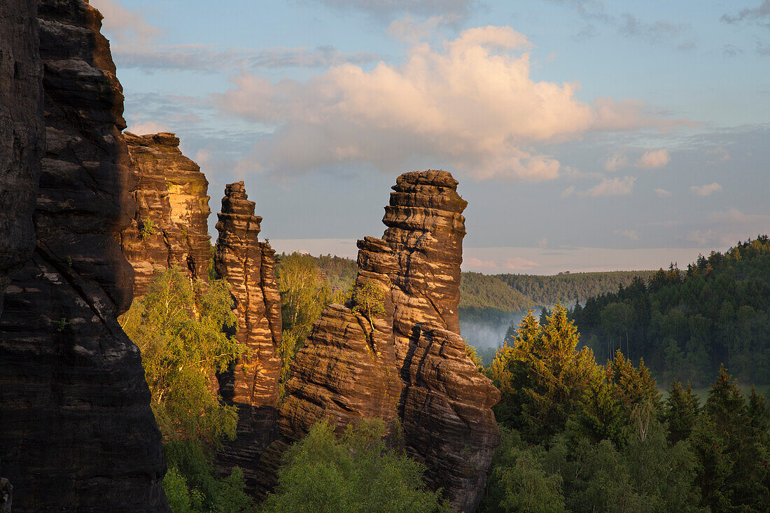 Leaning Tower at Bielatal valley, National Park Saxon Switzerland, Elbe Sandstone Mountains, Saxony, Germany, Europe