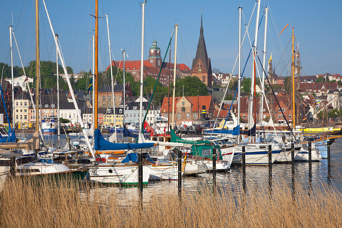 Schiffe im Hafen, Flensburg, Flensburger Förde, Ostsee, Schleswig-Holstein, Deutschland, Europa