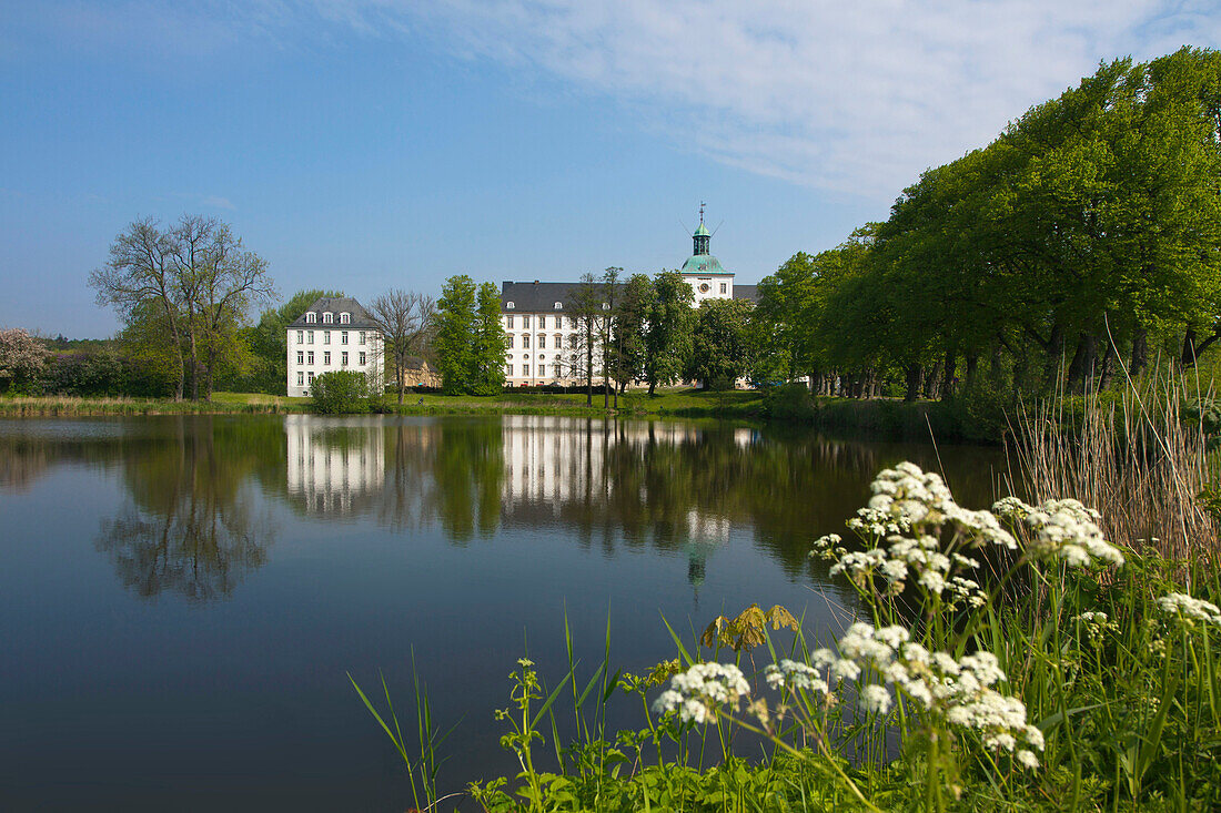 View of Gottorf castle, Schleswig, Schlei fjord, Baltic Sea, Schleswig-Holstein,  Germany, Europe