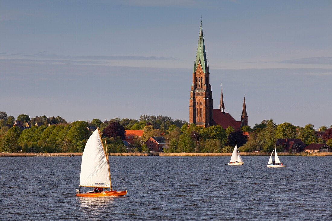 Sailing boats in front of the cathedral St. Petri, Schleswig, Schlei fjord, Baltic Sea, Schleswig-Holstein,  Germany, Europe