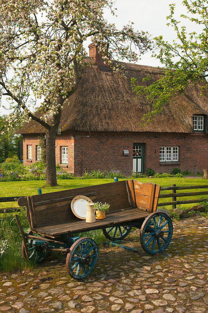 Wooden carriage with jar and plate in front of a house with thatched roof, Sieseby, Baltic Sea, Schleswig-Holstein, Germany, Europe