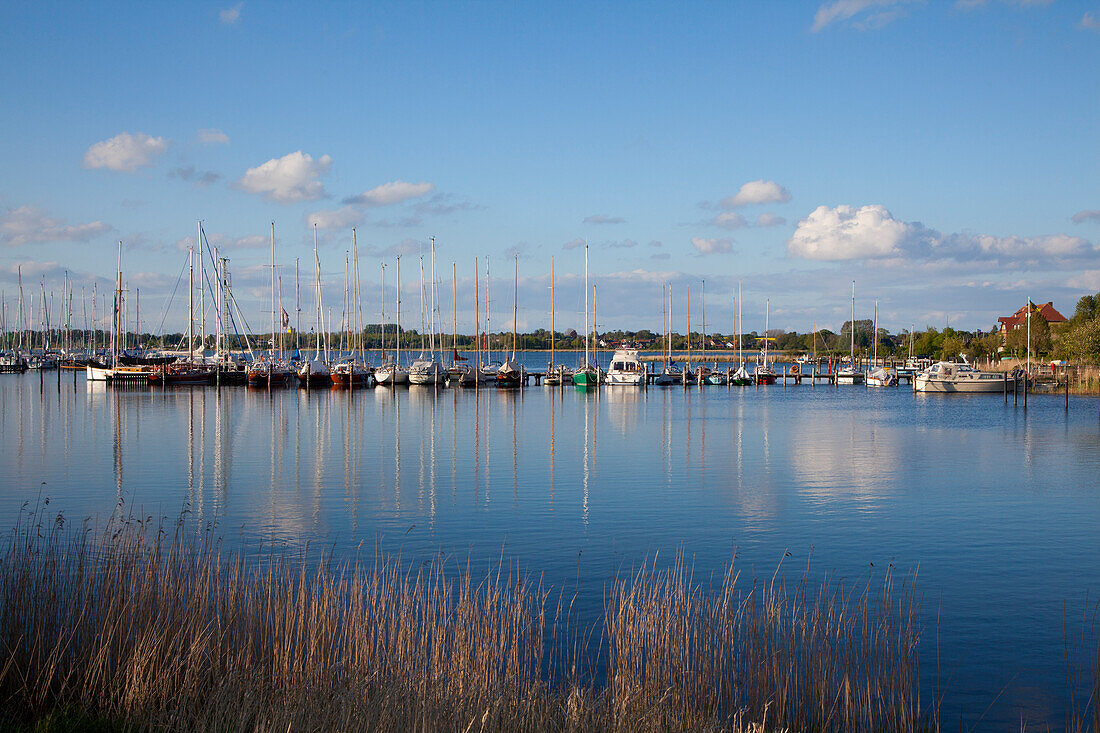 View of marina, Arnis, Schlei fjord, Baltic Sea, Schleswig-Holstein,  Germany, Europe