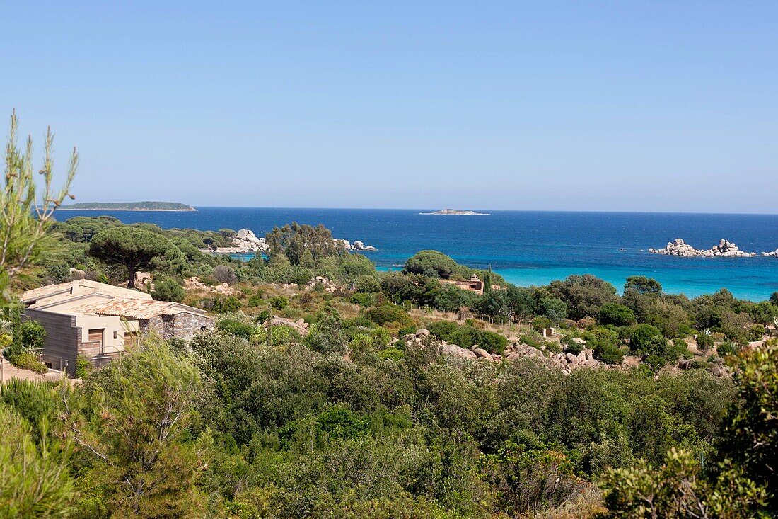 France, Corsica south, Palombagio beach near Porto Vechio