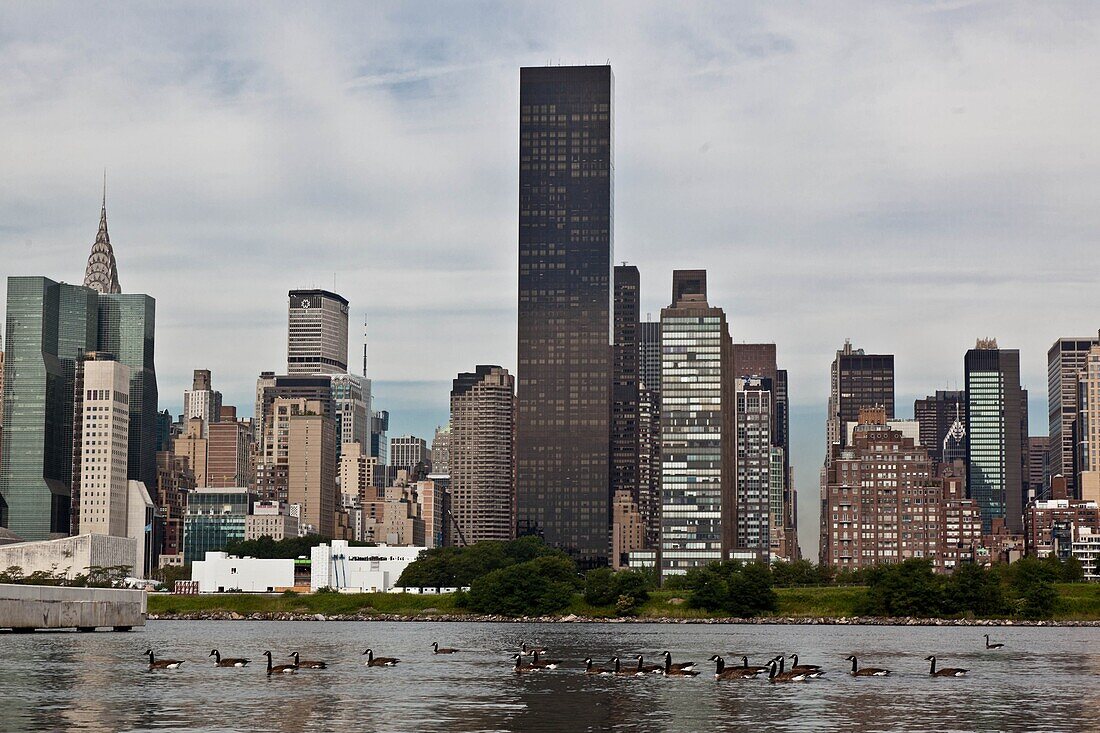 New York - United States, the East river, skyline