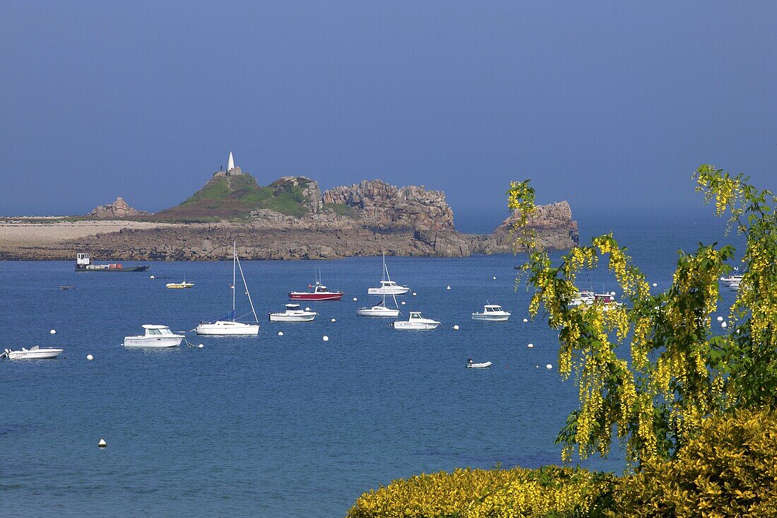 France, Cotes d' Armor, Perros Guirec, Port Blanc, Pink granite coast, boats