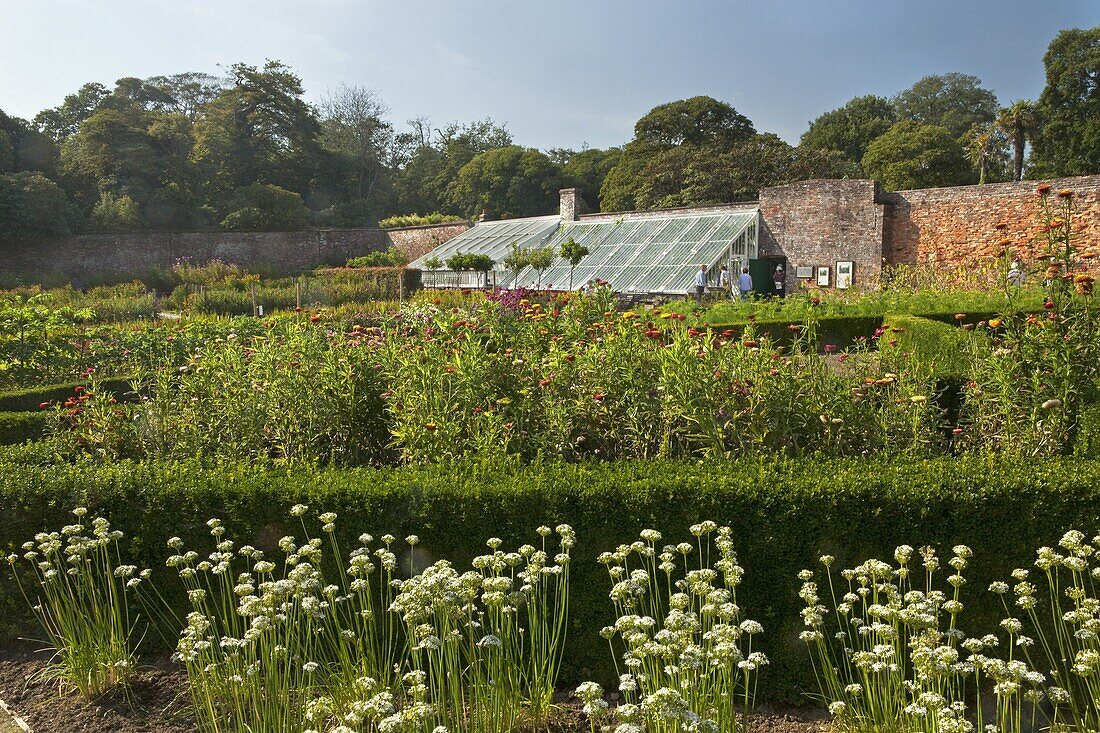 U.K Cornwall,The Lost Gardens of Heligan,Greenhouses